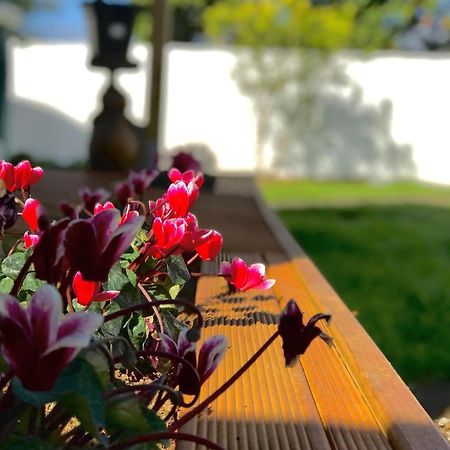 Onehunga Garden Tinyhouse With Parking Hotel Оукланд Екстериор снимка