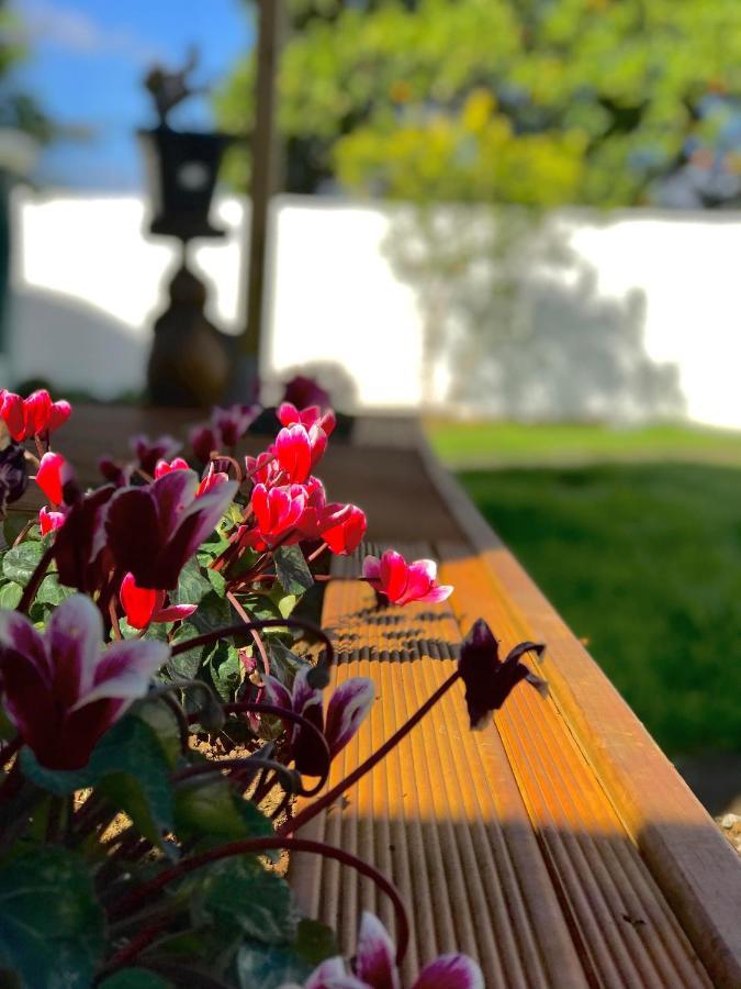 Onehunga Garden Tinyhouse With Parking Hotel Оукланд Екстериор снимка